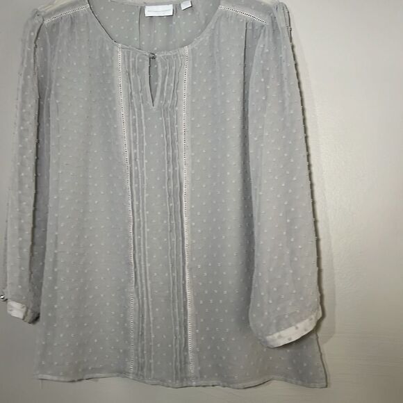 New York & Company semi sheer clip dot blouse - Picture 4 of 8